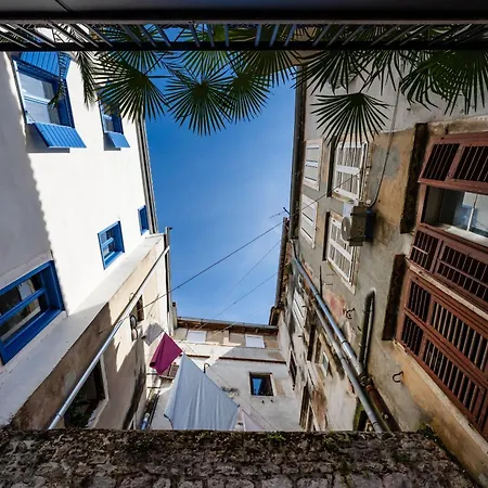 아파트 My Dalmatia - Luxury Domus Borelli *